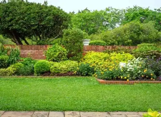 landscaping services Altamont